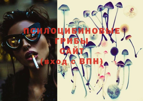 ECSTASY Коряжма