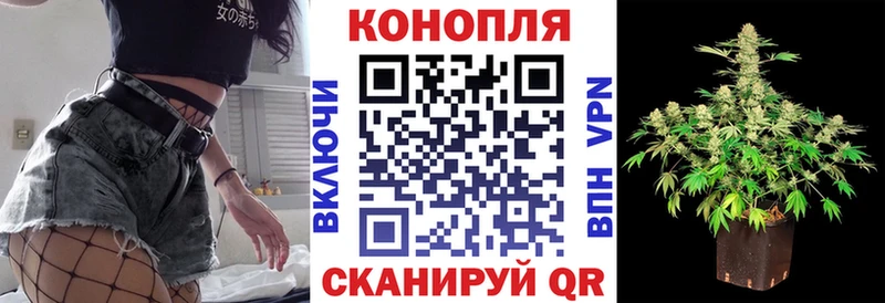 Канабис сатива  Купить где  Рыбное 